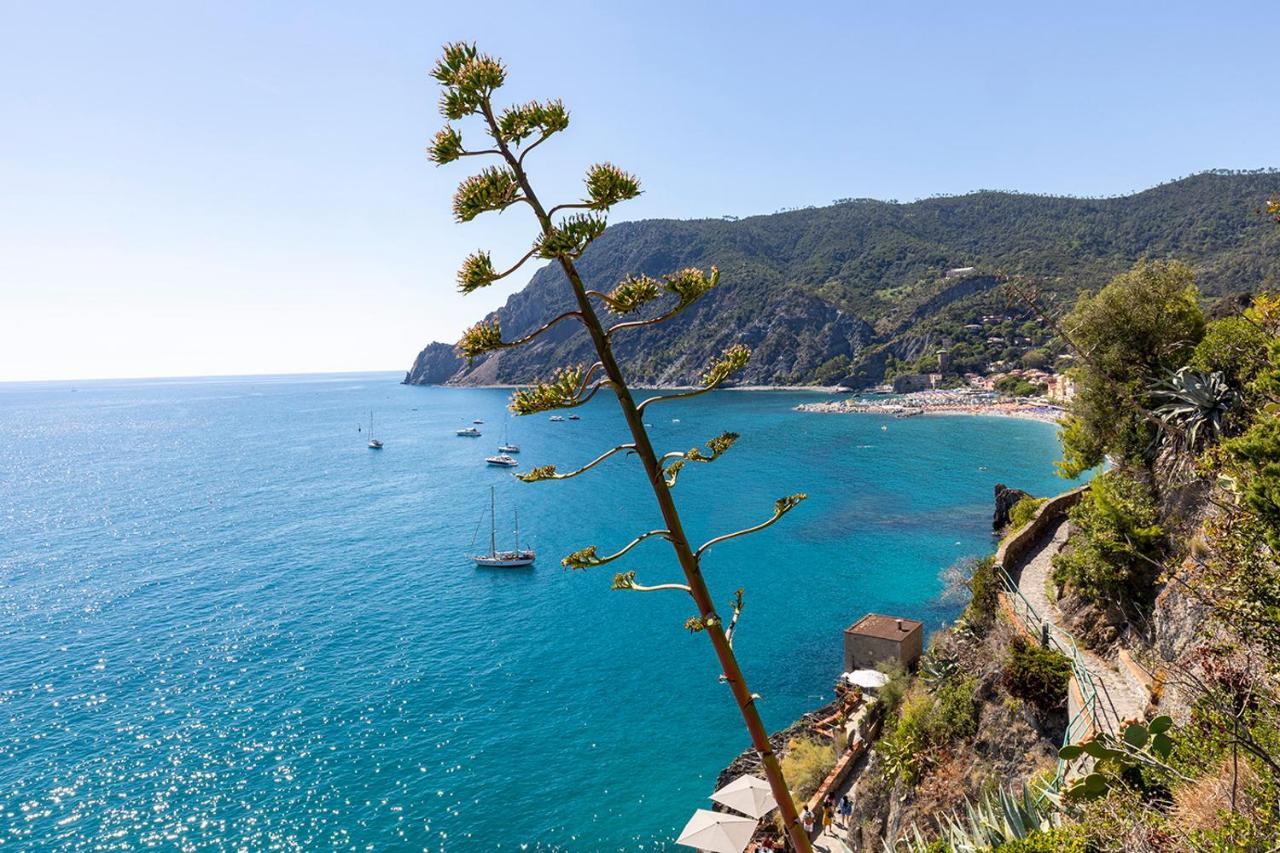 Antica Ancora Rooms Monterosso al Mare Exteriör bild